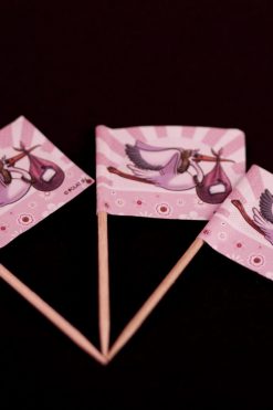 Geboorte vlaggetjes meisje cupcake prikkers