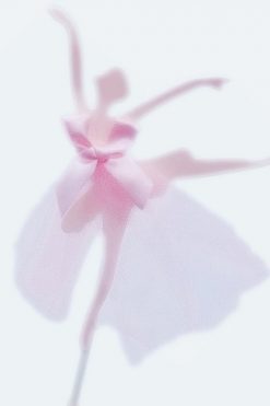 Ballerina danseres taart vlag